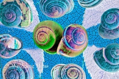 0161