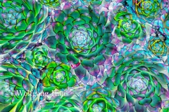 0178