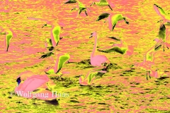 0021