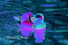 271_Ente_leuchtblau